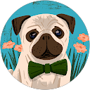 Marek SOLC profile picture